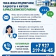 Горячая линия Кармаскалинской больницы